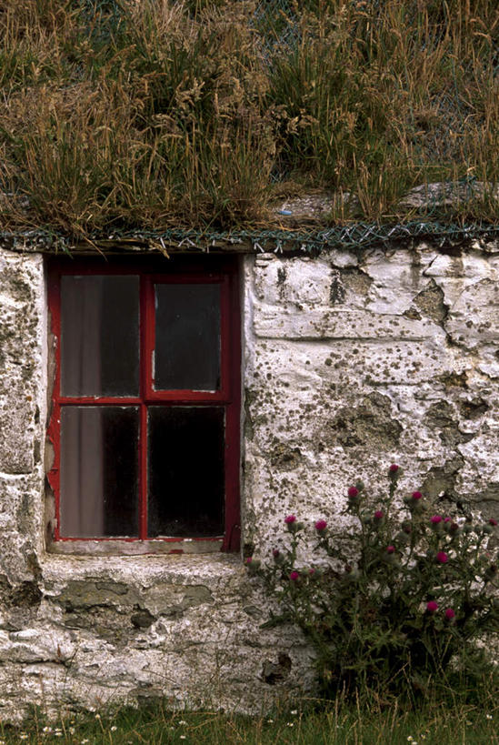 无人,竖图,室外,白天,正面,度假,草地,草坪,石头,美景,植物,窗户,城市风光,城市,英国,欧洲,盛开,石子,景观,花蕾,娱乐,苏格兰,玻璃窗,草,花,花瓣,花朵,鲜花,绿色,花苞,花蕊,享受,休闲,景色,放松,西欧,大不列颠,大不列颠及北爱尔兰联合王国,大不列颠联合王国,日不落英帝国,苏格兰王国,设得兰,设得兰群岛,谢德兰群岛,谢特兰群岛,石块,岩石,彩图