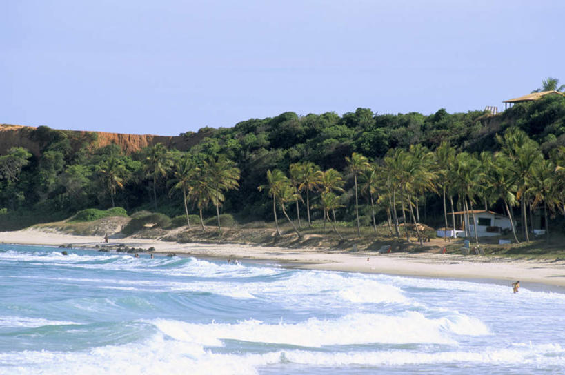 游泳,西方人,站,横图,室外,白天,正面,泳装,比基尼,旅游,度假,草地,草坪,海浪,海洋,美景,植物,棕榈树,叶子,巴西,欧洲,欧洲人,行人,游客,游人,阴影,服装,光线,伞,影子,雨伞,遮阳伞,景观,浪花,云,云朵,绿叶,许多人,云彩,注视,休闲装,娱乐,阳伞,路人,旅客,草,树,树木,衣服,蓝色,绿色,白云,蓝天,天空,阳光,自然,海水,天,观察,看,站着,一群人,享受,休闲,休闲服,嫩叶,景色,南美,放松,服饰,生长,晴朗,成长,观看,察看,南美洲,拉丁美洲,关注,自然风光,美洲,海景,棕榈叶,巴西联邦共和国,首府,亚美利加洲,南亚美利加洲,泅水,北大河州,北里奥格兰德州,北里约格朗德,纳塔尔,拍浮,过客,男人,男性,女人,女性,中年男性,中年女性,白种人,叶,叶片,大海,风浪,海,海水的波动,近岸浪,涌浪,晴空,站立,彩图,全身,三点式,泳衣