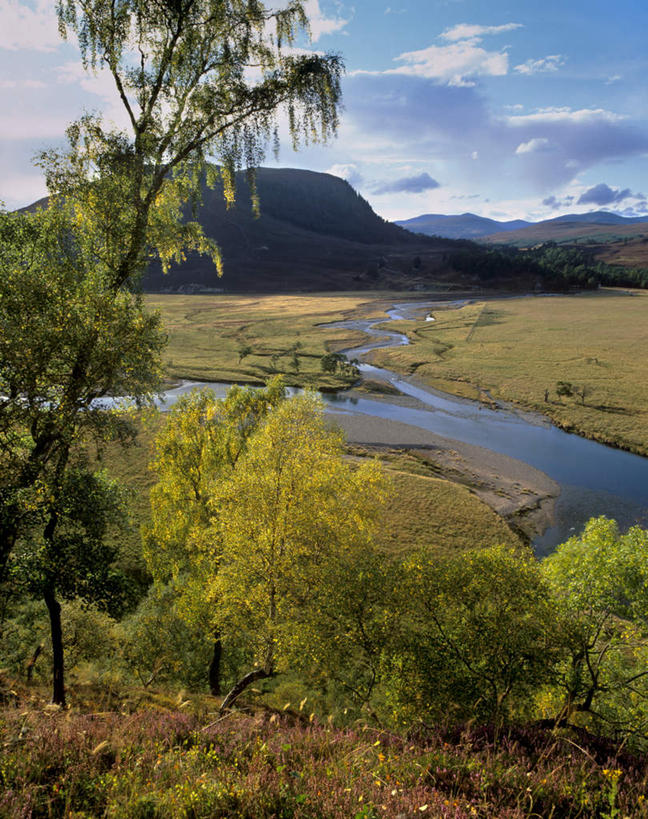 无人,竖图,俯视,室外,白天,旅游,度假,草地,草坪,河流,石头,美景,山,山脉,水,植物,英国,欧洲,阴影,光线,石子,影子,河水,景观,山峰,水流,云,云朵,山峦,云彩,娱乐,苏格兰,草,树,树木,蓝色,绿色,白云,蓝天,天空,小溪,阳光,自然,群山,天,溪水,享受,休闲,景色,放松,生长,晴朗,成长,西欧,自然风光,大不列颠,大不列颠及北爱尔兰联合王国,大不列颠联合王国,日不落英帝国,苏格兰王国,阿伯丁,阿伯丁郡,石块,岩石,晴空,彩图,高角度拍摄