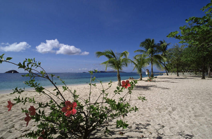 无人,横图,俯视,室外,白天,旅游,度假,海浪,海洋,美景,沙滩,植物,棕榈树,叶子,许多,阴影,朦胧,模糊,盛开,光线,沙子,影子,海岸,景观,浪花,云,云朵,绿叶,沙地,花蕾,云彩,娱乐,花,花瓣,花朵,鲜花,树,树木,蓝色,绿色,白云,蓝天,天空,阳光,自然,海水,天,花苞,花蕊,享受,休闲,嫩叶,景色,南美,放松,生长,晴朗,成长,南美洲,西印度群岛,拉丁美洲,自然风光,美洲,海景,棕榈叶,亚美利加洲,南亚美利加洲,格林纳丁斯,圣文森特,叶,叶片,大海,风浪,海,海水的波动,海滩,近岸浪,涌浪,晴空,彩图,高角度拍摄