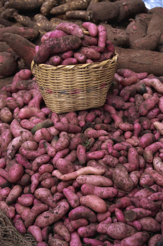 无人,交叉,竖图,俯视,室外,白天,旅游,度假,竹子,土豆,美国,一堆,许多,阴影,堆叠,堆积,竹制,编织,光线,篮子,影子,首都,很多,娱乐,红色,阳光,容器,竹篮,享受,休闲,放松,储藏,竹条,堆,交织,北美,竹制品,北美洲,储存,美洲,华盛顿特区,首府,华盛顿哥伦比亚特区,华府,北亚美利加洲,亚美利加洲,哥伦比亚特区,穿插,芋艿,洋芋,山药蛋,马铃薯,彩图,高角度拍摄,贮存