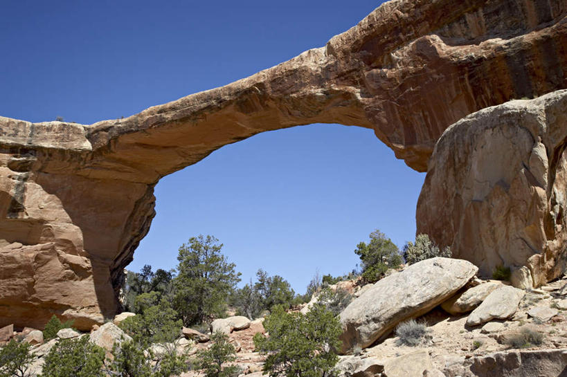 无人,公园,横图,室外,白天,仰视,旅游,度假,石头,美景,植物,美国,阴影,堆积,光线,石子,影子,景观,娱乐,树,树木,蓝色,绿色,蓝天,天空,阳光,自然,天,享受,休闲,景色,放松,生长,晴朗,成长,风化,北美,北美洲,国家公园,犹他州,自然风光,美洲,万里无云,北亚美利加洲,亚美利加洲,犹他,蜂窝之州,蜂房州,天然桥国家公园,天然桥国家保护区,风蚀,石化,风蚀地貌,岩石层,石块,岩石,晴空,晴空万里,彩图,低角度拍摄