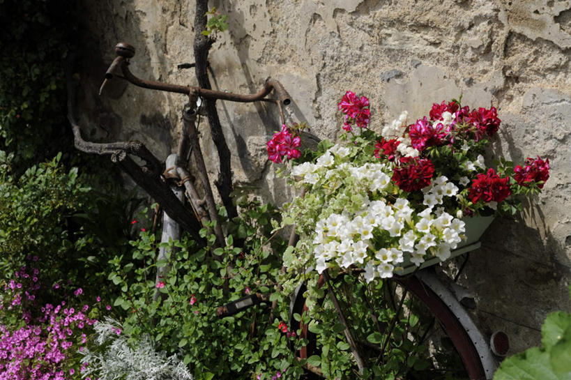 无人,横图,俯视,室外,特写,白天,旅游,度假,花海,花圃,美景,植物,自行车,叶子,法国,欧洲,阴影,盛开,光线,影子,墙,景观,花蕾,娱乐,墙壁,墙面,车,脚踏车,花,花瓣,花朵,花卉,鲜花,绿色,阳光,自然,交通工具,花丛,花束,花田,花苞,花蕊,享受,休闲,景色,放松,自然风光,载具,法兰西共和国,阿基坦,法兰西第五共和国,多尔多涅省,亚魁当,阿基坦大区,多尔多涅,彩图,高角度拍摄