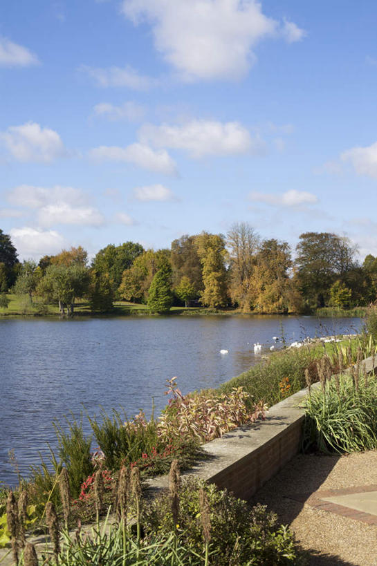 游泳,无人,竖图,室外,白天,正面,旅游,度假,草地,草坪,湖,湖泊,花海,花圃,美景,水,植物,道路,路,鸟,叶子,英国,欧洲,一群,许多,阴影,盛开,光线,鸟类,鸭,影子,湖面,景观,水流,水面,云,云朵,小路,交通,很多,花蕾,云彩,注视,娱乐,家禽,利兹城堡,草,花,花瓣,花朵,花卉,鲜花,树,树木,蓝色,绿色,白云,倒影,蓝天,天空,阳光,自然,动物,湖水,花丛,花束,花田,天,花苞,花蕊,观察,看,享受,休闲,景色,放松,牲畜,生长,晴朗,成长,观看,察看,倒映,西欧,关注,自然风光,大不列颠,大不列颠及北爱尔兰联合王国,肯特郡,泅水,大不列颠联合王国,日不落英帝国,反照,拍浮,利兹堡,梅德斯通,晴空,半身,彩图