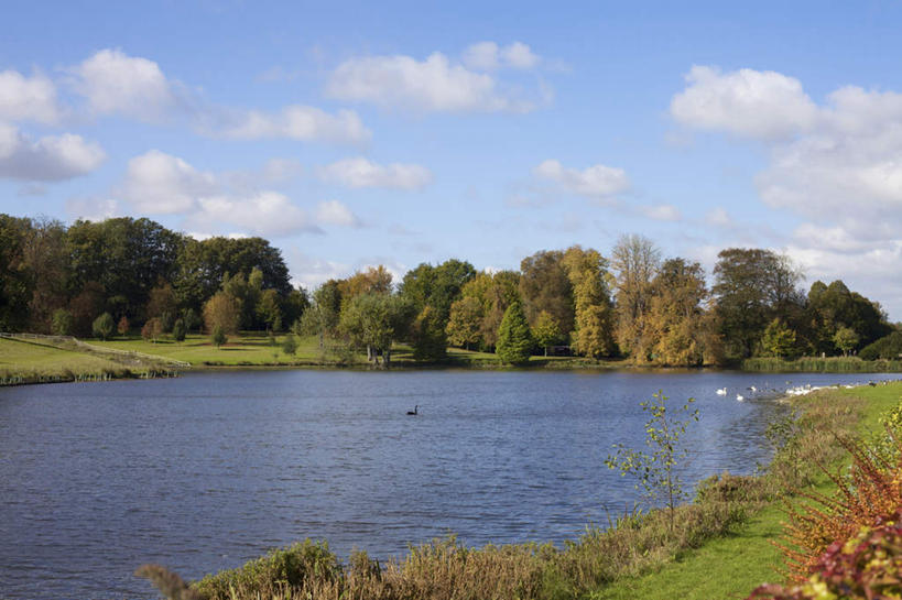 游泳,无人,横图,室外,白天,正面,旅游,度假,草地,草坪,湖,湖泊,花海,花圃,美景,水,植物,鸟,叶子,英国,欧洲,一群,许多,阴影,盛开,光线,鸟类,鸭,影子,湖面,景观,水流,水面,云,云朵,很多,花蕾,云彩,注视,娱乐,家禽,利兹城堡,草,花,花瓣,花朵,花卉,鲜花,树,树木,蓝色,绿色,白云,倒影,蓝天,天空,阳光,自然,动物,湖水,花丛,花束,花田,天,花苞,花蕊,观察,看,享受,休闲,景色,放松,牲畜,生长,晴朗,成长,观看,察看,倒映,西欧,关注,自然风光,大不列颠,大不列颠及北爱尔兰联合王国,肯特郡,泅水,大不列颠联合王国,日不落英帝国,反照,拍浮,利兹堡,梅德斯通,晴空,半身,彩图