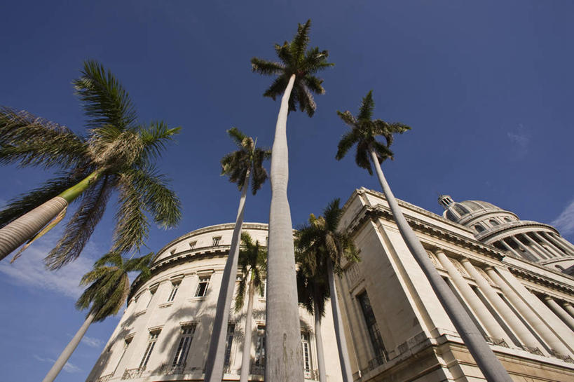 无人,家,横图,室外,白天,仰视,度假,美景,植物,城市风光,城市,棕榈树,叶子,古巴,阴影,光线,影子,房屋,屋子,景观,云,云朵,绿叶,首都,云彩,娱乐,楼房,国会大厦,住宅,树,树木,蓝色,绿色,白云,蓝天,天空,阳光,自然,天,享受,休闲,嫩叶,景色,放松,生长,晴朗,成长,北美,北美洲,美洲,棕榈叶,哈瓦那,国会大楼,议会大厦,议会大楼,首都大厦,州议会大厦,州政府,州会议厅,北亚美利加洲,亚美利加洲,古巴共和国,叶,叶片,晴空,棕树,棕榈,彩图,低角度拍摄,房子,哈瓦那市,夏湾拿