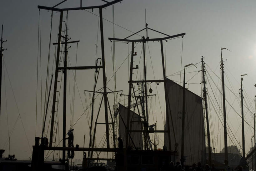 帆船,西方人,伙伴,朋友,码头,站,横图,室外,白天,仰视,友谊,合作,团队,日落,港口,船,欧洲,荷兰,欧洲人,握,服装,晚霞,霞光,落日,许多人,注视,休闲装,衣服,黄昏,绳子,交通工具,观察,看,站着,一群人,休闲,休闲服,彩霞,战略,握着,服饰,观看,绳索,察看,西欧,关注,载具,联合,合谋,荷兰王国,尼德兰王国,帆樯,桅竿,夕照,福伦丹,沃伦丹,配合,协作,男人,男性,中年男性,白种人,夕阳,站立,彩图,低角度拍摄,全身,摆渡口,埠头,渡口,渡头,港湾,海港,货运码头,口岸,商港,斜阳