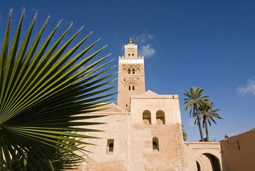 无人,寺庙,横图,室外,白天,仰视,旅游,度假,名胜古迹,植物,标志建筑,地标,建筑,棕榈树,叶子,非洲,摩洛哥,阴影,节日,遗迹,光线,影子,墙,绿叶,燃烧,古迹,文化,文物,娱乐,建设,古建筑,墙壁,墙面,树,树木,蓝色,绿色,蓝天,天空,阳光,自然,香火,庙宇,天,祈祷,享受,休闲,健康,嫩叶,旅游胜地,放松,许愿,宗教,信仰,生长,晴朗,成长,纪念,祈求,古文明,棕榈叶,万里无云,阿非利加洲,摩洛哥王国,马拉喀什,库图比亚清真寺,库杜比亚清真寺,平安,叶,叶片,晴空,晴空万里,彩图,低角度拍摄,庙,寺