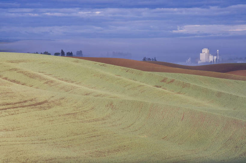 无人,家,横图,室外,白天,正面,草地,草坪,山,山脉,植物,窗户,美国,阴影,光线,影子,房屋,墙,屋顶,屋子,山峰,云,云朵,山峦,云彩,顶棚,楼房,玻璃窗,墙壁,墙面,住宅,草,蓝色,绿色,白云,蓝天,天空,阳光,群山,天,晴朗,北美,北美洲,美洲,爱达荷州,北亚美利加洲,亚美利加洲,爱达荷,爱达华州,宝石之州,宝石州,晴空,彩图,房子