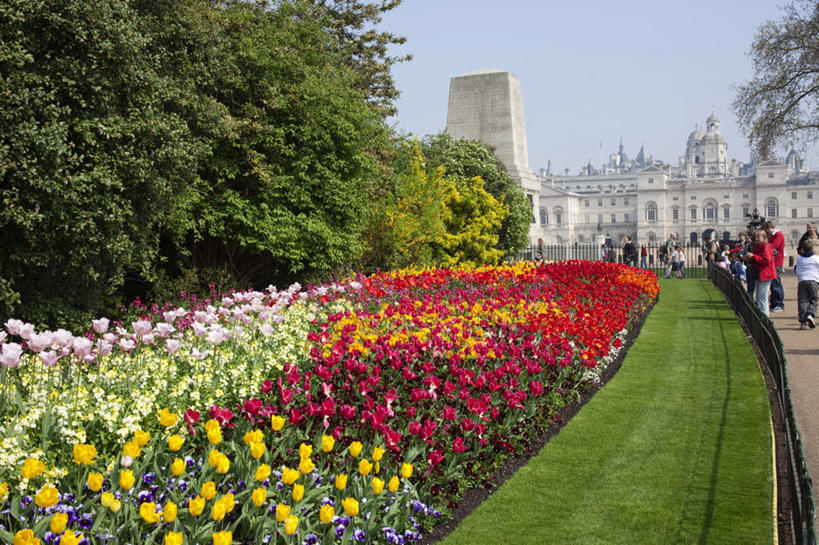 西方人,公园,家,站,走,横图,室外,白天,正面,爱情,度假,草地,草坪,花海,花圃,美景,植物,窗户,城市风光,城市,郁金香,叶子,英国,欧洲,伦敦,欧洲人,一排,阴影,服装,整齐,并列,并排,盛开,光线,影子,房屋,墙,屋子,景观,公寓,首都,许多人,祝福,花蕾,注视,休闲装,娱乐,洋房,楼房,玻璃窗,墙壁,墙面,住宅,草,花,花瓣,花朵,花卉,鲜花,树,树木,排列,衣服,蓝色,绿色,蓝天,天空,阳光,自然,花丛,花束,花田,天,花苞,花蕊,观察,看,站着,一群人,享受,休闲,休闲服,景色,放松,服饰,生长,晴朗,成长,观看,察看,表白,西欧,队列,关注,荣誉,大不列颠,平行,大不列颠及北爱尔兰联合王国,万里无云,永恒,大不列颠联合王国,日不落英帝国,雾都,圣詹姆斯公园,男人,男性,年轻男性,年轻女性,女人,女性,白种人,晴空,晴空万里,郁香,洋荷花,草麝香,步行,散步,站立,走路,彩图,全身,房子