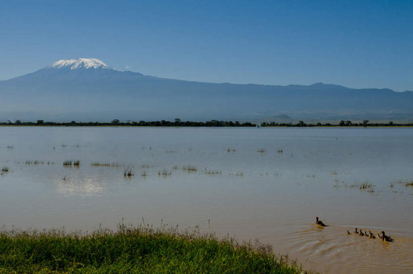 游泳,无人,公园,横图,室外,白天,正面,旅游,度假,草地,草坪,河流,美景,沙滩,山,水,雪,雪山,植物,大雪,鸟,非洲,肯尼亚,一排,许多,阴影,整齐,光线,鸟类,鸭,鸭子,沙子,影子,冰,海岸,河水,积雪,景观,山峰,水流,雪景,冬季,冬天,沙地,山峦,娱乐,家禽,草,排列,蓝色,绿色,蓝天,天空,阳光,自然,动物,天,享受,休闲,景色,放松,寒冷,牲畜,晴朗,冰冷,国家公园,队列,自然风光,绿头鸭,万里无云,严寒,冰凉,酷寒,凛冽,凛凛,极冷,泅水,阿非利加洲,大红腿鸭,大绿头,大麻鸭,对鸭,肯尼亚共和国,安波塞利国家公园,拍浮,裂谷省,海滩,晴空,晴空万里,官鸭,彩图,全身