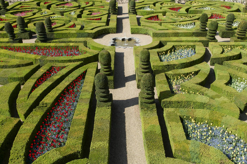 无人,横图,俯视,室外,白天,旅游,度假,花海,花圃,植物,标志建筑,道路,地标,建筑,路,叶子,法国,欧洲,阴影,环保,盛开,光线,影子,小路,防护,交通,花蕾,娱乐,建设,花,花瓣,花朵,花卉,鲜花,树,树木,绿色,阳光,自然,花丛,花束,花田,花苞,花蕊,享受,休闲,旅游胜地,放松,生长,成长,美好,美妙,间隔,法兰西共和国,首府,美观,雅观,法兰西第五共和国,图尔,维朗德里城堡,安德尔.卢瓦尔省,绿篱,生篱,树篱,植篱,中央大区,彩图,高角度拍摄