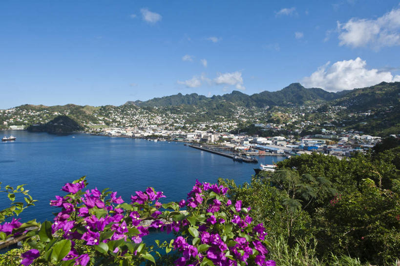 无人,家,码头,横图,室外,白天,正面,旅游,度假,海浪,海洋,花海,花圃,美景,山,山脉,植物,港口,叶子,阴影,盛开,光线,影子,房屋,屋子,景观,浪花,山峰,云,云朵,山峦,花蕾,云彩,娱乐,楼房,住宅,花,花瓣,花朵,花卉,鲜花,树,树木,蓝色,绿色,白云,蓝天,天空,阳光,自然,海水,花丛,花束,花田,群山,天,花苞,花蕊,享受,休闲,景色,南美,放松,生长,晴朗,成长,南美洲,西印度群岛,拉丁美洲,自然风光,美洲,海景,亚美利加洲,南亚美利加洲,格林纳丁斯,圣文森特,大海,风浪,海,海水的波动,近岸浪,涌浪,晴空,彩图,房子,摆渡口,埠头,渡口,渡头,港湾,海港,货运码头,口岸,商港