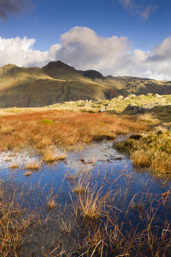 无人,公园,竖图,室外,白天,正面,旅游,度假,湖,湖泊,美景,山,山脉,水,植物,英国,欧洲,阴影,枯萎,光线,影子,湖面,景观,山峰,水流,水面,云,云朵,枯草,山峦,云彩,娱乐,英格兰,草,黄色,蓝色,白云,蓝天,天空,阳光,自然,湖水,群山,天,享受,休闲,景色,放松,晴朗,沼泽,国家公园,西欧,自然风光,大不列颠,大不列颠及北爱尔兰联合王国,大不列颠联合王国,日不落英帝国,英吉利,湖区国家公园,英国湖区国家公园,晴空,彩图