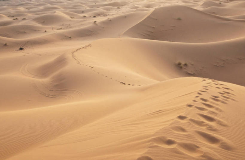 无人,横图,俯视,室外,白天,旅游,度假,美景,沙漠,非洲,摩洛哥,一排,脚印,阴影,整齐,光线,影子,景观,娱乐,排列,阳光,自然,享受,休闲,景色,放松,足迹,队列,贫瘠,自然风光,行踪,脚迹,阿非利加洲,摩洛哥王国,瘠薄,大漠,砂漠,彩图,高角度拍摄