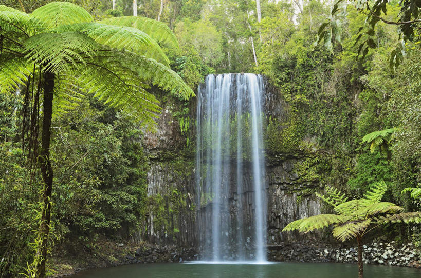 无人,横图,室外,白天,正面,旅游,度假,湖,湖泊,石头,美景,瀑布,森林,树林,水,峡谷,植物,澳大利亚,阴影,飞溅,溅,光线,石子,液体,影子,湖面,景观,水滴,水流,水面,悬崖,山谷,娱乐,水珠,树,树木,绿色,阳光,自然,湖水,享受,休闲,景色,放松,生长,成长,岩层,喷洒,自然风光,大洋洲,澳洲,昆士兰州,南方大陆,澳大利亚联邦,昆士兰,绝壁,米拉米拉瀑布,阿瑟顿高原,阿瑟顿台地,跌水,石块,岩石,彩图