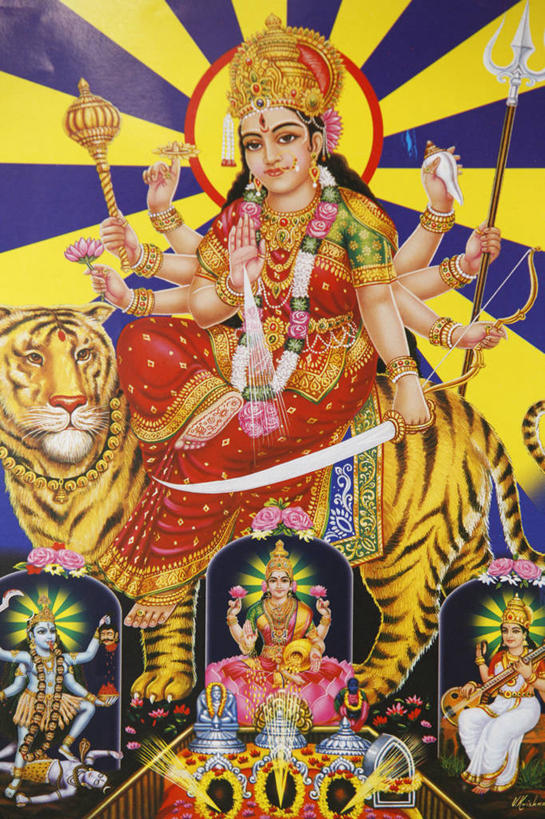 东方人,一个人,无人,站,竖图,室内,白天,正面,民族服装,绘画,哺乳动物,虎,野生动物,油画,印度,亚洲,仅一个女性,仅一个人,握,服装,艺术,古典,拿,拿着,注视,黄种人,文化,衣服,动物,工艺品,观察,看,品味,站着,仅一个中年女性,握着,服饰,观看,美术,神仙,察看,高雅,衣着,穿着,关注,南亚,凶猛,千手观音,印度共和国,美学,仙人,衣饰,残暴,凶残,女人,女性,中年女性,亚洲人,老虎,站立,彩图,全身,传统服装,民俗服