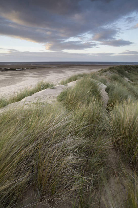 无人,竖图,室外,白天,正面,旅游,度假,草地,草坪,海浪,海洋,美景,沙滩,植物,城市,美国,阴影,光线,沙子,影子,海岸,海面,景观,浪花,水平线,云,云朵,辽阔,海平线,沙地,云彩,娱乐,草,蓝色,绿色,白云,蓝天,天空,阳光,自然,海水,天,享受,休闲,广阔,景色,放松,晴朗,涨潮,一望无际,北美,北美洲,自然风光,美洲,海景,海潮,弗吉尼亚,弗吉尼亚州,诺福克,北亚美利加洲,亚美利加洲,维吉尼亚,老自治领州,无边无际,一马平川,潮水,潮汐,落潮,诺福克郡,诺福克市,大海,风浪,海,海水的波动,海滩,近岸浪,涌浪,晴空,彩图,水天相接,水天一线