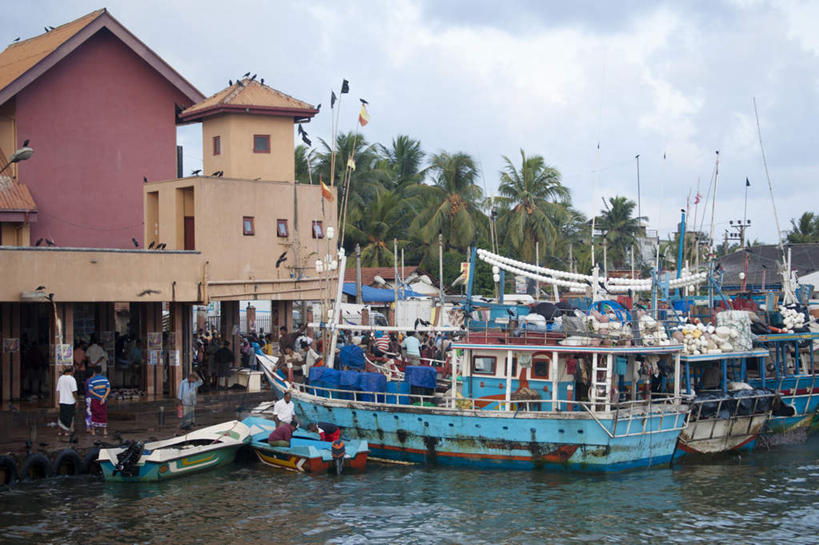 无人,家,码头,横图,室外,白天,正面,度假,美景,植物,城市风光,城市,港口,轮船,船,斯里兰卡,亚洲,停靠,阴影,光线,影子,房屋,屋子,景观,云,云朵,云彩,娱乐,楼房,住宅,树,树木,蓝色,绿色,白云,蓝天,天空,阳光,自然,交通工具,天,享受,休闲,景色,放松,生长,晴朗,成长,停泊,载具,南亚,斯里兰卡民主社会主义共和国,尼甘布,晴空,彩图,房子,摆渡口,埠头,渡口,渡头,港湾,海港,货运码头,口岸,商港