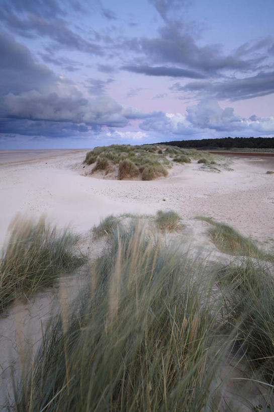 无人,竖图,室外,白天,正面,旅游,度假,草地,草坪,美景,森林,沙滩,树林,植物,城市,美国,阴影,光线,纹路,沙子,纹理,影子,海岸,景观,云,云朵,沙地,云彩,娱乐,草,树,树木,蓝色,绿色,白云,蓝天,天空,阳光,自然,天,享受,休闲,景色,放松,生长,晴朗,成长,北美,北美洲,自然风光,美洲,肌理,弗吉尼亚,弗吉尼亚州,诺福克,北亚美利加洲,亚美利加洲,维吉尼亚,老自治领州,诺福克郡,诺福克市,海滩,晴空,彩图