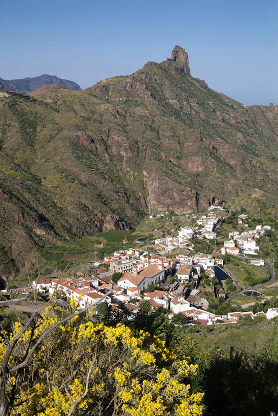无人,家,竖图,俯视,室外,白天,旅游,度假,花海,花圃,美景,森林,山,山脉,树林,植物,叶子,西班牙,欧洲,阴影,盛开,光线,影子,房屋,屋子,景观,山峰,公寓,山峦,花蕾,娱乐,洋房,楼房,住宅,花,花瓣,花朵,花卉,鲜花,树,树木,蓝色,绿色,蓝天,天空,阳光,自然,花丛,花束,花田,群山,天,花苞,花蕊,享受,休闲,景色,放松,生长,晴朗,成长,加纳利群岛,南欧,自然风光,加那利群岛,万里无云,西班牙王国,大加纳利岛,晴空,晴空万里,彩图,高角度拍摄,房子