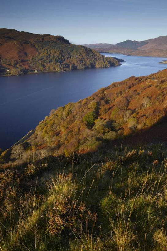 无人,竖图,室外,白天,正面,旅游,度假,草地,草坪,河流,美景,水,植物,英国,欧洲,阴影,光线,影子,河水,景观,水流,娱乐,苏格兰,草,蓝色,绿色,蓝天,天空,阳光,自然,天,享受,休闲,景色,放松,晴朗,西欧,自然风光,大不列颠,大不列颠及北爱尔兰联合王国,万里无云,大不列颠及爱尔兰联合王国,苏格兰王国,内斯湖,尼斯湖,晴空,晴空万里,彩图,大不列颠王国,大英帝国,联合王国,日不落帝国