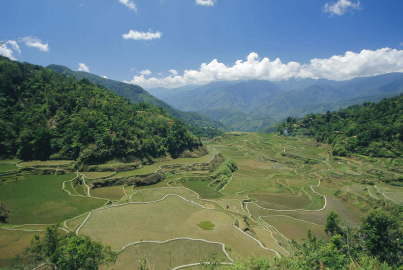 无人,农田,横图,俯视,航拍,室外,白天,旅游,度假,庄稼,梯田,农作物,草地,草坪,岛屿,石头,美景,山,山脉,植物,菲律宾,亚洲,阴影,曲折,弯曲,光线,石子,影子,岛,景观,山顶,山峰,云,云朵,山峦,云彩,娱乐,草,树,树木,蓝色,绿色,白云,蓝天,天空,阳光,自然,群山,天,享受,休闲,景色,放松,东南亚,蜿蜒,生长,晴朗,成长,鸟瞰,自然风光,沉积岩,菲律宾共和国,菲律宾群岛,吕宋岛,颠峰,极峰,水成岩,巴拿威梯田,列岛,群岛,石块,岩石,诸岛,晴空,彩图,高角度拍摄,耕地,庄稼田
