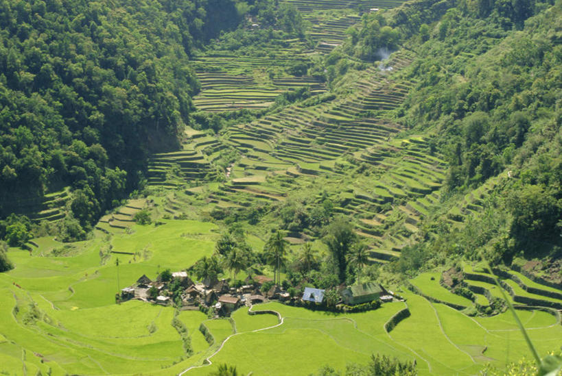 无人,家,农田,横图,俯视,航拍,室外,白天,旅游,度假,庄稼,梯田,农作物,草地,草坪,岛屿,石头,美景,山,山脉,植物,菲律宾,亚洲,阴影,曲折,弯曲,光线,石子,影子,房屋,屋子,岛,景观,山顶,山峰,山峦,娱乐,楼房,住宅,草,树,树木,绿色,阳光,自然,群山,享受,休闲,景色,放松,东南亚,蜿蜒,生长,成长,鸟瞰,自然风光,沉积岩,菲律宾共和国,菲律宾群岛,吕宋岛,颠峰,极峰,水成岩,巴拿威梯田,列岛,群岛,石块,岩石,诸岛,彩图,高角度拍摄,耕地,庄稼田,房子