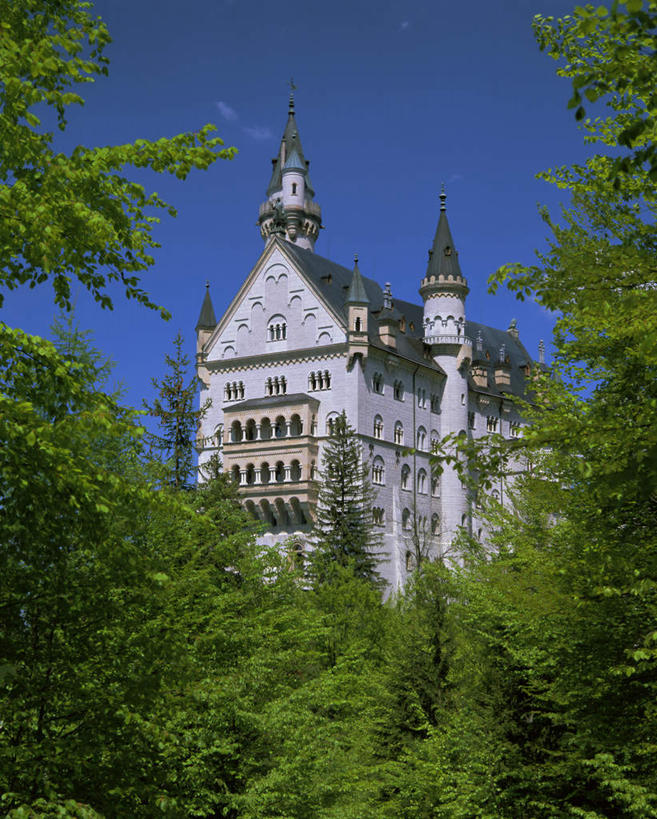 无人,竖图,室外,白天,仰视,旅游,度假,植物,标志建筑,地标,建筑,德国,欧洲,阴影,装饰,光线,影子,堡垒,城堡,娱乐,建设,新天鹅堡,树,树木,蓝色,绿色,蓝天,天空,自然,天,享受,休闲,旅游胜地,放松,生长,晴朗,成长,华丽,修饰,点缀,西欧,要塞,万里无云,德意志联邦共和国,新天鹅城堡,衬托,美观,雅致,雅观,富丽,巴伐利亚,巴伐利亚州,拜恩州,拜恩自由州,华美,设防,晴空,晴空万里,彩图,低角度拍摄