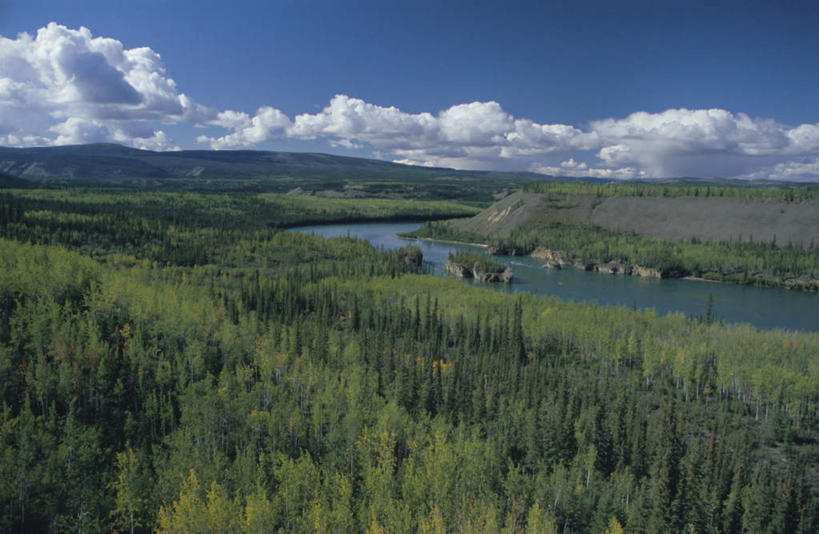 无人,横图,室外,白天,正面,旅游,度假,河流,美景,山,山脉,树林,水,植物,加拿大,阴影,波纹,光线,影子,河水,景观,山峰,水流,云,云朵,涟漪,山峦,云彩,娱乐,树,树木,蓝色,绿色,白云,倒影,蓝天,水纹,天空,阳光,自然,波浪,群山,天,享受,休闲,景色,放松,生长,晴朗,成长,倒映,北美,北美洲,自然风光,美洲,水晕,北亚美利加洲,亚美利加洲,育空,育空地区,反照,晴空,彩图