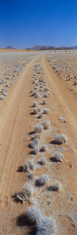 无人,公园,竖图,室外,白天,正面,旅游,度假,石头,美景,沙漠,道路,路,非洲,纳米比亚,阴影,光线,石子,影子,景观,小路,交通,娱乐,蓝色,蓝天,天空,阳光,自然,天,享受,休闲,景色,放松,乡间小路,晴朗,国家公园,贫瘠,自然风光,万里无云,纳米比亚共和国,瘠薄,纳米布.诺克卢福国家公园,大漠,砂漠,石块,岩石,晴空,晴空万里,彩图