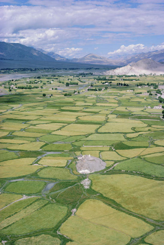 无人,农田,竖图,室外,白天,正面,旅游,度假,庄稼,农作物,河流,美景,山,山脉,水,植物,印度,亚洲,阴影,光线,影子,河水,景观,山峰,水流,乡村,云,云朵,农村,山峦,云彩,娱乐,树,树木,蓝色,绿色,白云,蓝天,天空,阳光,自然,村庄,群山,天,享受,休闲,景色,放松,生长,晴朗,成长,村落,自然风光,南亚,印度共和国,屯子,墟落,查谟.克什米尔,查谟.克什米尔邦,晴空,彩图,耕地,庄稼田