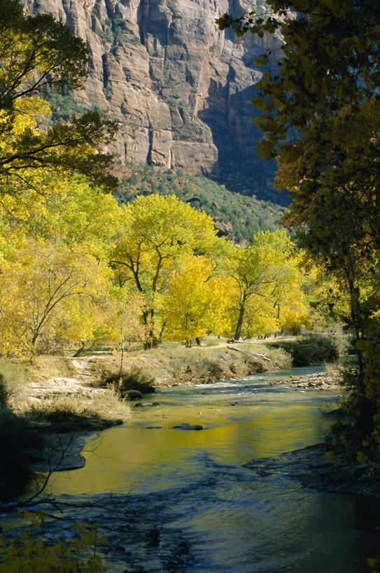 无人,公园,竖图,室外,白天,正面,旅游,度假,草地,草坪,河流,石头,美景,山,山脉,水,植物,美国,阴影,波纹,光线,石子,影子,河水,景观,山峰,水流,涟漪,山峦,娱乐,草,树,树木,绿色,倒影,水纹,阳光,自然,波浪,群山,享受,休闲,景色,放松,生长,成长,倒映,北美,北美洲,犹他州,自然风光,美洲,水晕,北亚美利加洲,亚美利加洲,犹他,蜂窝之州,蜂房州,锡安国家公园,宰恩国家公园,反照,石块,岩石,彩图