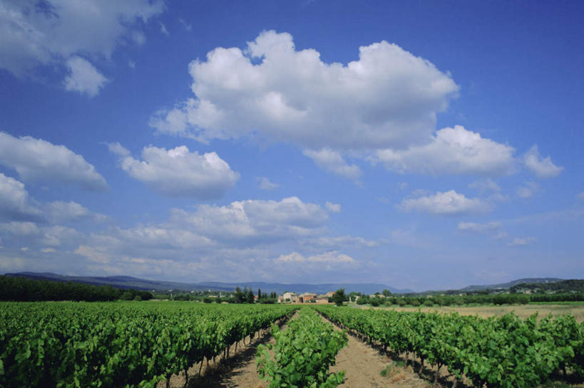 无人,家,果园,横图,室外,白天,正面,旅游,度假,石头,美景,山,山脉,田园,法国,欧洲,一排,阴影,整齐,光线,石子,影子,房屋,屋子,地平线,景观,泥土,山峰,土壤,云,云朵,辽阔,地面,山峦,云彩,娱乐,楼房,葡萄园,架子,住宅,排列,蓝色,白云,蓝天,天空,阳光,自然,庄园,群山,天,享受,休闲,广阔,景色,放松,晴朗,一望无际,支撑,固定,阿尔卑斯,普罗旺斯,沃克吕兹省,队列,自然风光,延伸,葡萄架,法兰西共和国,蓝色海岸,天地相交,法兰西第五共和国,无边无际,一马平川,石块,岩石,晴空,彩图,房子