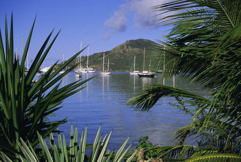 帆船,无人,码头,横图,室外,白天,正面,旅游,度假,美景,山,山脉,植物,港口,船,棕榈树,叶子,许多,停靠,阴影,光线,影子,景观,山峰,云,云朵,绿叶,山峦,云彩,娱乐,树,树木,排列,蓝色,绿色,白云,蓝天,天空,阳光,自然,交通工具,群山,天,享受,休闲,嫩叶,景色,放松,生长,晴朗,成长,北美,北美洲,停泊,自然风光,载具,美洲,棕榈叶,北亚美利加洲,亚美利加洲,摆列,安提瓜岛,巴布达,巴布达岛,安提瓜,杜尔西纳岛,叶,叶片,晴空,彩图,摆渡口,埠头,渡口,渡头,港湾,海港,货运码头,口岸,商港,布列,分列