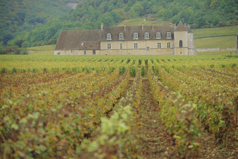 无人,家,果园,横图,室外,白天,正面,旅游,度假,草地,草坪,美景,山,山脉,田园,植物,别墅,法国,欧洲,一排,阴影,整齐,并列,并排,光线,影子,房屋,屋子,景观,山峰,公寓,山峦,娱乐,洋房,楼房,葡萄园,住宅,草,树,树木,排列,绿色,阳光,自然,庄园,群山,享受,休闲,景色,放松,生长,成长,葡萄藤,勃艮第,队列,自然风光,平行,法兰西共和国,法兰西第五共和国,勃艮第大区,科多尔省,彩图,房子