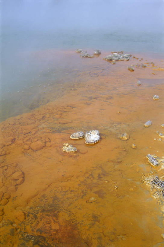 无人,竖图,俯视,航拍,室外,白天,旅游,度假,美景,温泉,雾,新西兰,阴影,沸腾,朦胧,模糊,光线,蒸汽,影子,景观,水蒸气,雾气,娱乐,阳光,自然,享受,休闲,温暖,景色,放松,泉水,温和,气体,迷雾,鸟瞰,自然风光,大洋洲,蒸发,纽西兰,长白云之乡,新西兰北岛,地热,罗托鲁阿,罗托鲁瓦,香槟池,大雾,彩图,高角度拍摄