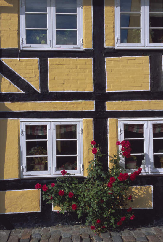 无人,家,竖图,室外,特写,白天,正面,爱情,度假,幸福,纯洁,热情,美景,窗户,城市风光,城市,玫瑰,叶子,丹麦,欧洲,一排,整齐,并列,并排,盛开,房屋,墙,屋子,景观,绿叶,玫瑰花,浪漫,花蕾,娱乐,楼房,玻璃窗,墙壁,墙面,住宅,花,花瓣,花朵,鲜花,排列,红色,花苞,花蕊,享受,休闲,温暖,温馨,嫩叶,景色,恩爱,放松,和睦,队列,北欧,感动,平行,尊敬,丹麦王国,菲英岛,天真,刺玫花,徘徊花,叶,叶片,彩图,房子,融洽