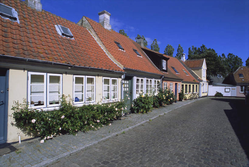 无人,家,横图,室外,白天,正面,度假,花海,花圃,美景,植物,窗户,城市风光,城市,道路,路,叶子,丹麦,欧洲,一排,阴影,整齐,盛开,光线,影子,房屋,墙,屋子,景观,小路,交通,花蕾,娱乐,楼房,玻璃窗,墙壁,墙面,住宅,花,花瓣,花朵,花卉,鲜花,树,树木,排列,蓝色,绿色,蓝天,天空,阳光,自然,花丛,花束,花田,天,花苞,花蕊,享受,休闲,景色,放松,乡间小路,生长,晴朗,成长,队列,北欧,万里无云,丹麦王国,菲英岛,晴空,晴空万里,彩图,房子