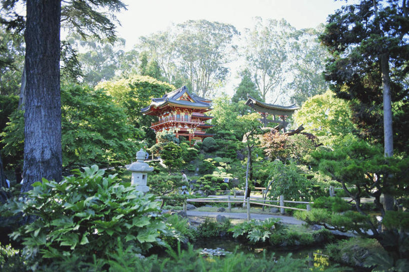 无人,寺庙,栏杆,横图,室外,白天,正面,旅游,度假,草地,草坪,石头,美景,山,山脉,植物,窗户,门,城市,美国,阴影,节日,盛开,光线,石子,影子,墙,屋顶,景观,山峰,云,云朵,围栏,山峦,燃烧,花蕾,云彩,顶棚,文化,娱乐,护栏,玻璃窗,墙壁,墙面,草,花,花瓣,花朵,鲜花,树,树木,蓝色,绿色,白色,白云,蓝天,天空,阳光,自然,香火,门框,庙宇,群山,天,花苞,花蕊,祈祷,享受,休闲,健康,景色,放松,许愿,宗教,信仰,生长,晴朗,成长,纪念,祈求,北美,北美洲,国家公园,加利福尼亚,自然风光,美洲,旧金山,加州,加利福尼亚州,圣弗朗西斯科,三藩市,金州,黄金州,北亚美利加洲,亚美利加洲,金门公园,平安,石块,岩石,晴空,彩图,庙,寺,金门国家公园