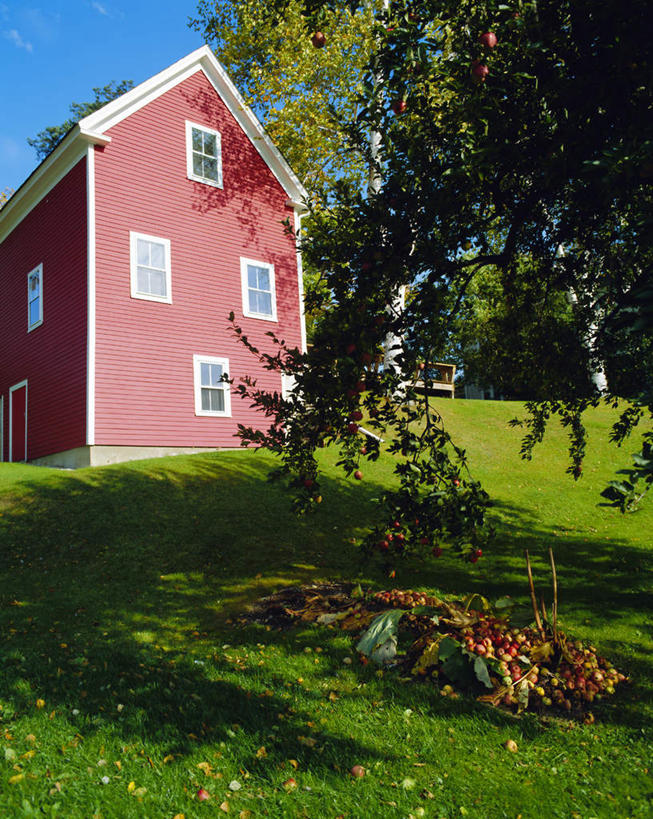 无人,家,竖图,室外,白天,正面,旅游,度假,草地,草坪,美景,植物,别墅,窗户,水果,英国,欧洲,阴影,新鲜,光线,影子,房屋,墙,屋子,景观,公寓,生食,食品,果实,娱乐,洋房,楼房,英格兰,玻璃窗,墙壁,墙面,住宅,草,树,树木,食物,红色,蓝色,绿色,蓝天,天空,阳光,自然,天,享受,休闲,景色,放松,有机食品,绿色食品,生长,晴朗,成长,西欧,自然风光,大不列颠,大不列颠及北爱尔兰联合王国,万里无云,大不列颠联合王国,日不落英帝国,英吉利,卡姆登区,大伦敦,晴空,晴空万里,彩图,房子