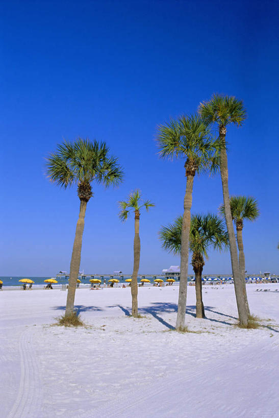 无人,码头,竖图,室外,白天,正面,旅游,度假,海浪,海洋,美景,沙滩,植物,港口,棕榈树,叶子,美国,一排,阴影,整齐,光线,伞,沙子,影子,雨伞,遮阳伞,海岸,景观,浪花,水平线,辽阔,绿叶,海平线,沙地,娱乐,阳伞,树,树木,排列,蓝色,绿色,蓝天,天空,阳光,自然,海水,天,享受,休闲,广阔,嫩叶,景色,放松,生长,晴朗,成长,一望无际,北美,北美洲,队列,自然风光,美洲,海景,棕榈叶,佛罗里达,佛罗里达州,佛州,阳光州,万里无云,北亚美利加洲,亚美利加洲,无边无际,一马平川,克利尔沃特,皮尼拉斯县,叶,叶片,大海,风浪,海,海水的波动,海滩,近岸浪,涌浪,晴空,晴空万里,彩图,摆渡口,埠头,渡口,渡头,港湾,海港,货运码头,口岸,商港,水天相接,水天一线