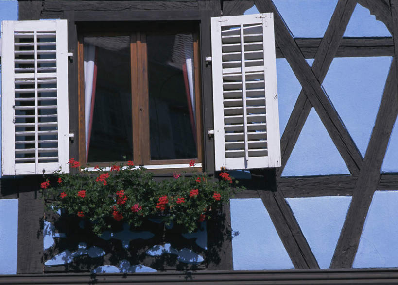 无人,横图,室外,特写,白天,正面,度假,美景,植物,窗户,窗帘,城市风光,城市,法国,欧洲,阴影,装饰,盛开,光线,盆栽,影子,墙,景观,盆景,花蕾,娱乐,玻璃窗,墙壁,墙面,花,花瓣,花朵,鲜花,红色,绿色,阳光,自然,帘子,花苞,花蕊,享受,休闲,遮阳,景色,放松,生长,成长,华丽,修饰,点缀,阿尔萨斯,法兰西共和国,衬托,美观,雅致,雅观,法兰西第五共和国,阿尔萨斯大区,彩图