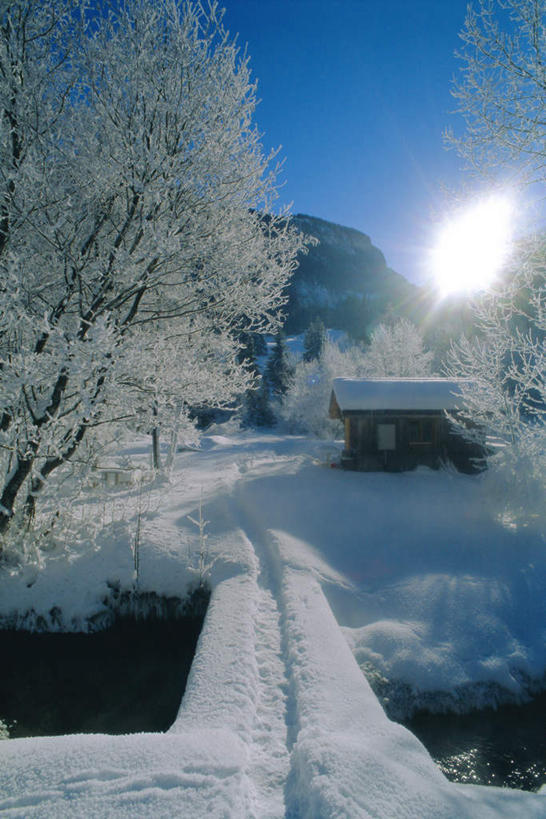 无人,家,木屋,竖图,室外,白天,正面,旅游,度假,石头,美景,山,雪,雪山,植物,大雪,瑞士,欧洲,阴影,光线,石子,影子,冰,积雪,景观,山顶,山峰,雪景,冬季,冬天,山峦,首都,娱乐,伯尔尼,住宅,树,树木,蓝色,绿色,蓝天,天空,阳光,自然,天,享受,休闲,景色,放松,寒冷,生长,晴朗,成长,冰冷,自然风光,中欧,沉积岩,万里无云,首府,严寒,瑞士联邦,冰凉,酷寒,凛冽,凛凛,极冷,伯尔尼州,颠峰,极峰,水成岩,格施塔德,石块,岩石,晴空,晴空万里,彩图,茅舍,茅屋,棚屋,小木屋,小屋