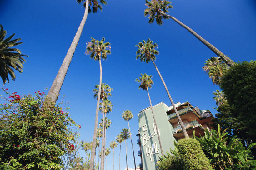 无人,家,横图,室外,白天,仰视,旅游,度假,植物,标志建筑,城市,地标,建筑,酒店,棕榈树,叶子,美国,许多,阴影,朦胧,模糊,光线,影子,房屋,屋子,公寓,绿叶,娱乐,建设,洋房,楼房,住宅,树,树木,排列,蓝色,绿色,蓝天,天空,阳光,自然,天,享受,休闲,嫩叶,旅游胜地,放松,生长,晴朗,成长,北美,北美洲,加利福尼亚,美洲,棕榈叶,加州,洛杉矶,加利福尼亚州,万里无云,金州,黄金州,比佛利山庄,北亚美利加洲,亚美利加洲,摆列,贝弗利山,比华利山,天使之城,贝弗利山庄,比弗利山庄,叶,叶片,晴空,晴空万里,彩图,低角度拍摄,房子,旅店,布列,分列