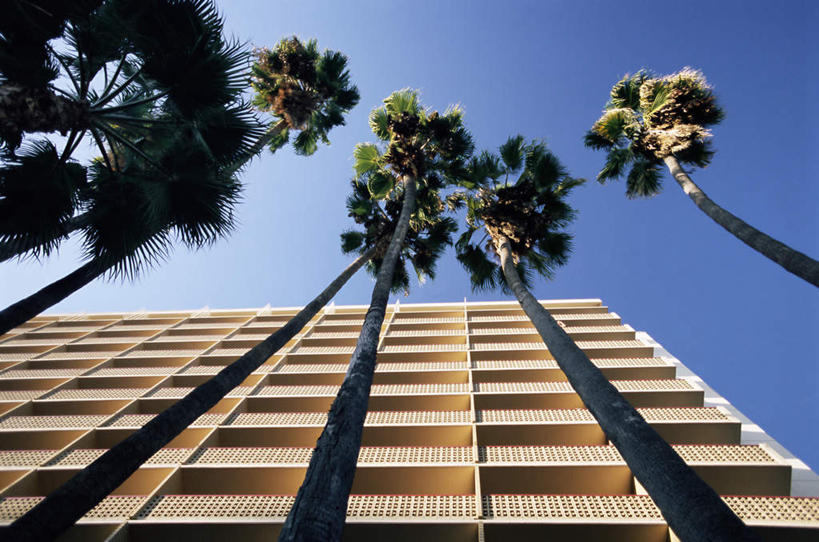 无人,栏杆,横图,室外,白天,仰视,旅游,度假,植物,标志建筑,城市,地标,建筑,酒店,棕榈树,叶子,美国,一排,许多,阴影,整齐,光线,影子,围栏,绿叶,娱乐,建设,护栏,树,树木,排列,蓝色,绿色,蓝天,天空,阳光,自然,天,享受,休闲,嫩叶,旅游胜地,放松,生长,晴朗,成长,北美,北美洲,队列,加利福尼亚,美洲,棕榈叶,加州,好莱坞,洛杉矶,加利福尼亚州,万里无云,金州,黄金州,北亚美利加洲,亚美利加洲,荷里活,好莱坞大道,日落大道,叶,叶片,晴空,晴空万里,彩图,低角度拍摄,旅店