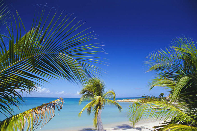 无人,横图,室外,白天,正面,旅游,度假,海浪,海洋,美景,沙滩,植物,棕榈树,叶子,沙子,海岸,景观,浪花,水平线,云,云朵,辽阔,绿叶,海平线,沙地,云彩,娱乐,树,树木,蓝色,绿色,白云,蓝天,天空,自然,海水,天,享受,休闲,广阔,嫩叶,景色,放松,生长,晴朗,成长,一望无际,北美,北美洲,自然风光,美洲,海景,棕榈叶,北亚美利加洲,亚美利加洲,无边无际,一马平川,安提瓜岛,巴布达,巴布达岛,安提瓜,杜尔西纳岛,叶,叶片,大海,风浪,海,海水的波动,海滩,近岸浪,涌浪,晴空,彩图,水天相接,水天一线