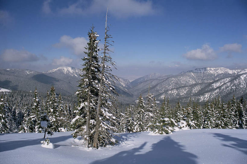 无人,横图,俯视,室外,白天,旅游,度假,美景,山,雪,雪山,大雪,松树,欧洲,斯洛伐克,阴影,朦胧,模糊,光线,影子,冰,积雪,景观,山峰,雪景,冬季,冬天,山峦,娱乐,蓝色,蓝天,天空,阳光,自然,天,享受,休闲,景色,放松,寒冷,晴朗,冰冷,自然风光,坚定,中欧,万里无云,长寿,严寒,冰凉,酷寒,凛冽,凛凛,贞洁,极冷,斯洛伐克共和国,晴空,晴空万里,彩图,高角度拍摄