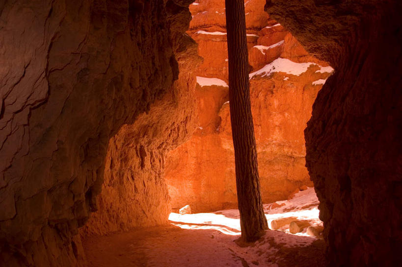 无人,公园,横图,室内,白天,正面,旅游,度假,石头,美景,山,山脉,美国,石子,柱子,景观,山洞,山峰,山峦,娱乐,自然,群山,享受,休闲,景色,放松,北美,北美洲,国家公园,犹他州,自然风光,美洲,北亚美利加洲,亚美利加洲,犹他,蜂窝之州,蜂房州,布莱斯国家公园,布莱斯峡谷,布莱斯峡谷国家公园,岩穴,石块,岩石,彩图