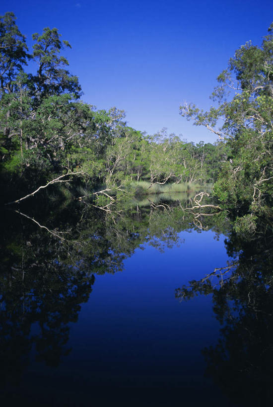 无人,竖图,俯视,室外,白天,旅游,度假,草地,草坪,河流,美景,森林,水,植物,澳大利亚,阴影,光线,影子,河水,景观,水流,娱乐,草,树,树木,蓝色,绿色,蓝天,天空,自然,天,享受,休闲,景色,放松,生长,晴朗,成长,沼泽,自然风光,大洋洲,澳洲,昆士兰州,万里无云,南方大陆,澳大利亚联邦,昆士兰,池沼,晴空,晴空万里,彩图,高角度拍摄